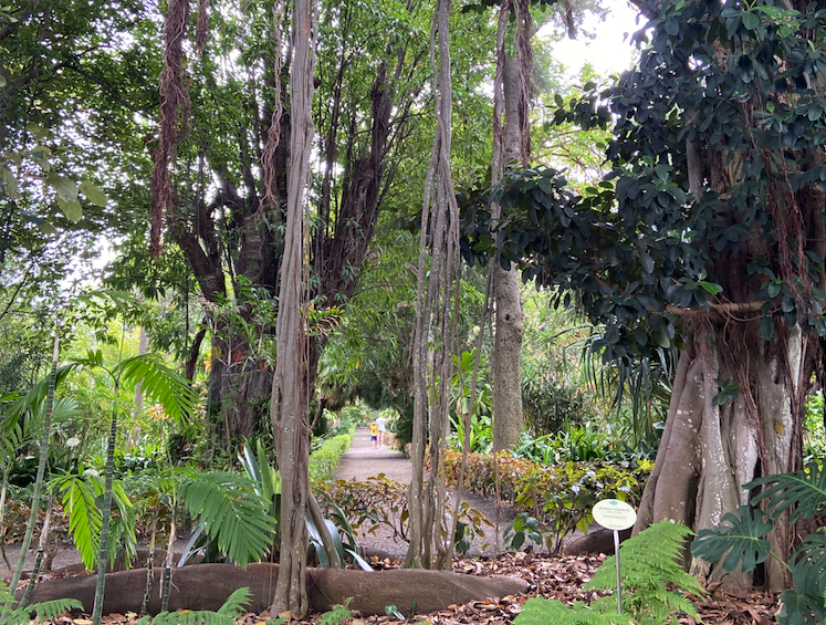 Giardino Botanico 1